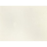 Мойка OMOIKIRI BOSEN 59-2-WH Tetogranit/белый 4993152